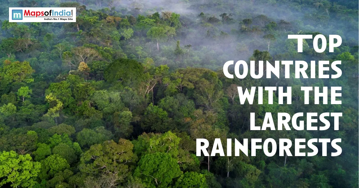 image with a scenery and text "countries with largest rainforests""