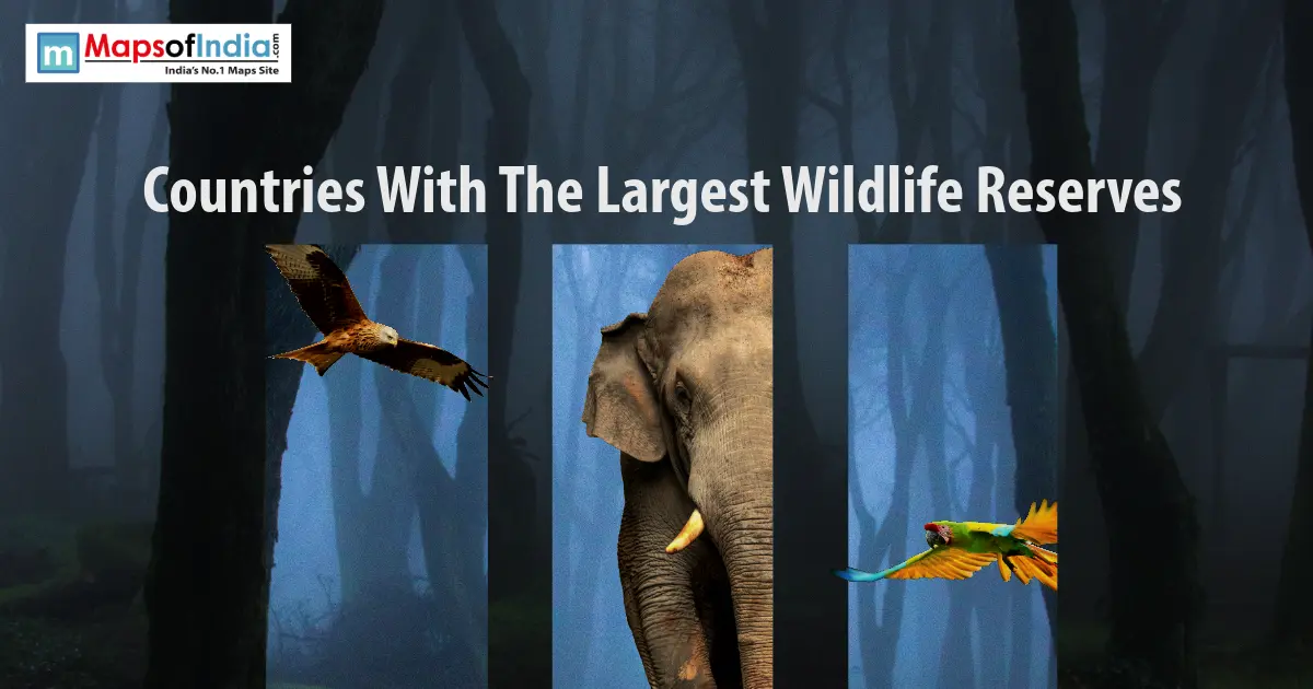 A eagle, an elephant, and a parrot against a shadowy forest background, with text reading "Countries With The Largest Wildlife Reserves".