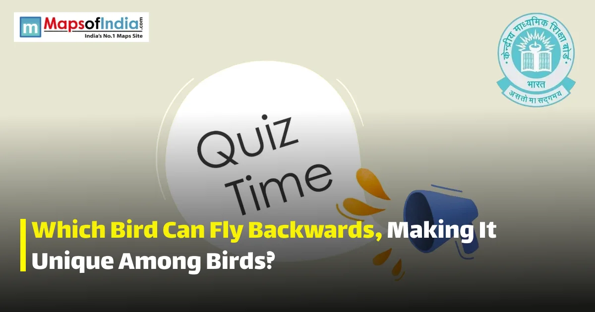 Quiz illustration with question marks and a student, featuring Maps of India and CBSE logos.
