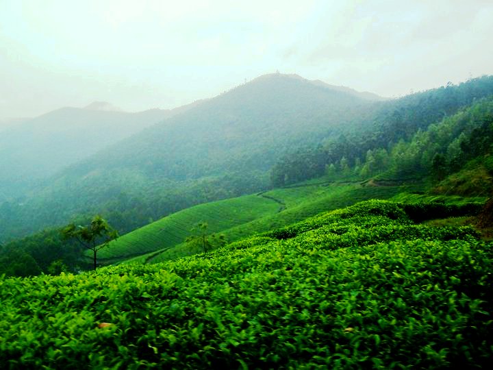 Munnar