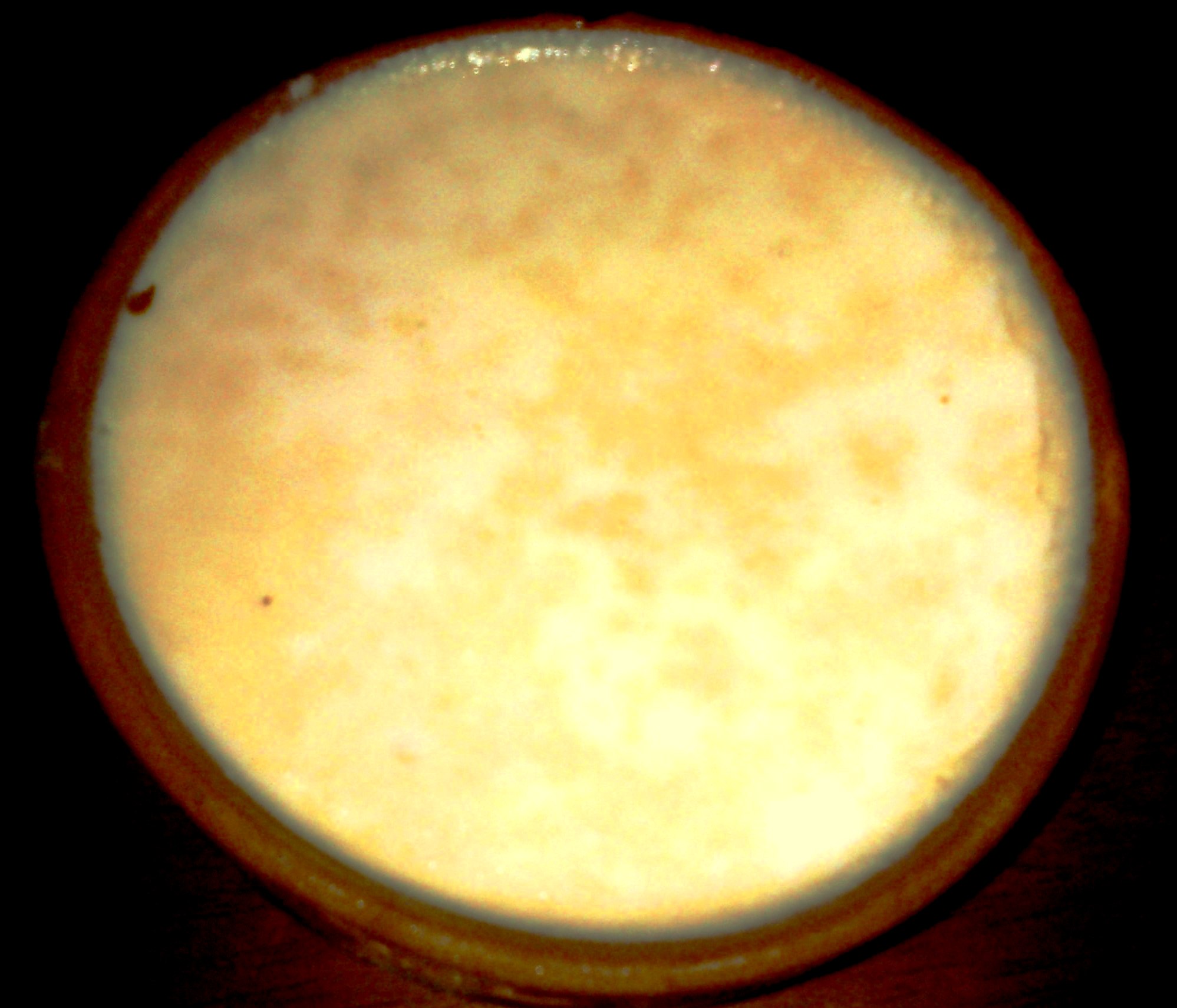 Mishti Doi