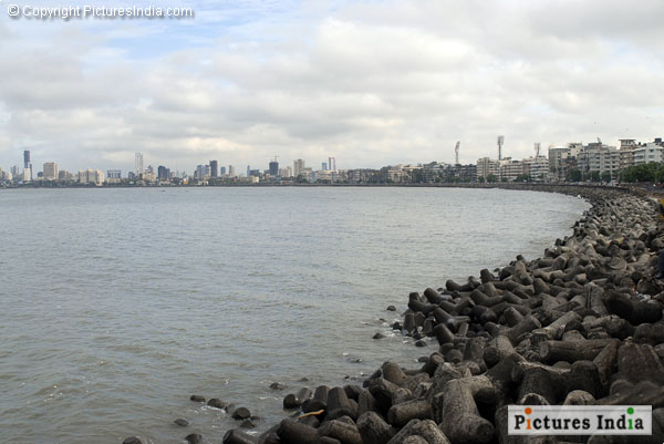 Rocks, City and the Sea of Opportunity