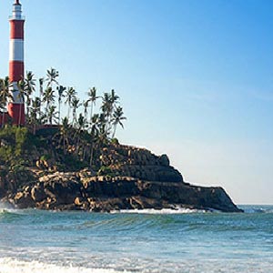 Kovalam Beach And Coconut Trees
