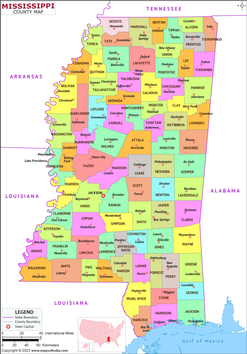 Mississippi County Map 